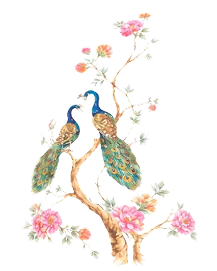Peacocks on Branch